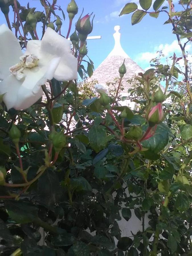 Trulli Di Ivana *
